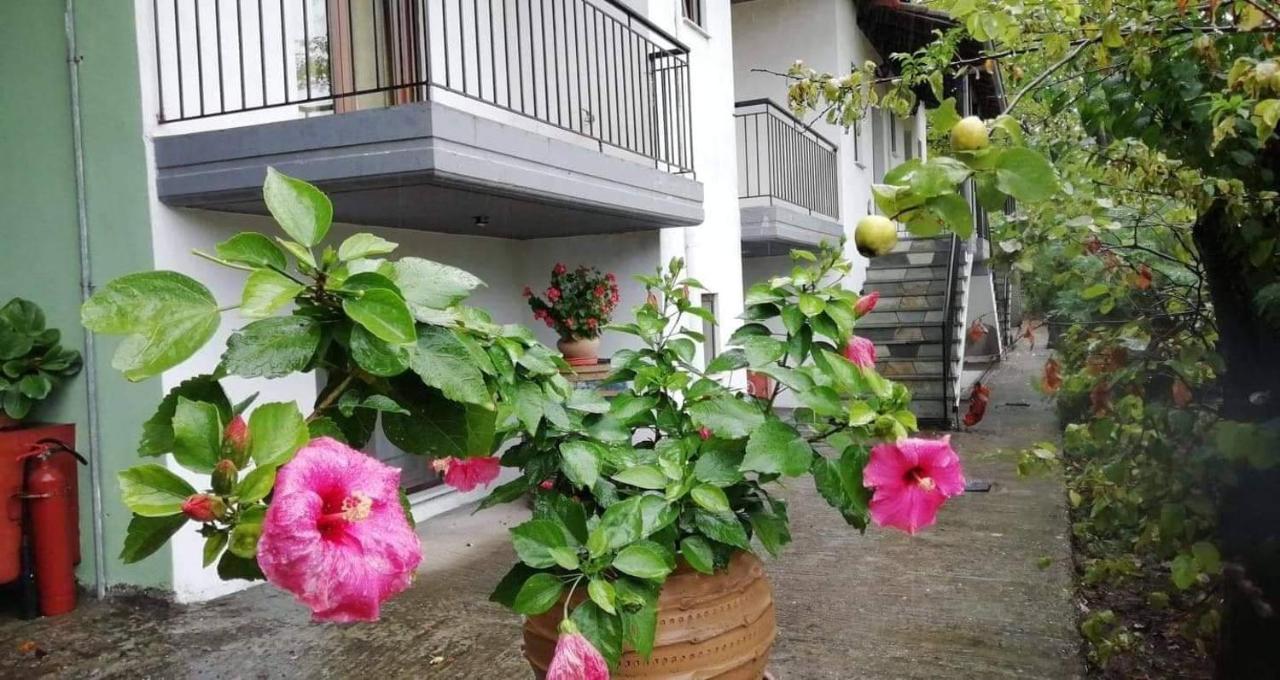 Bed and Breakfast Meteora Garden Kalambaka Exterior foto